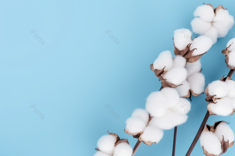 蓝色背景上的棉花,高清,摄影图,摄影图片,图片大全,摄影图免费下载